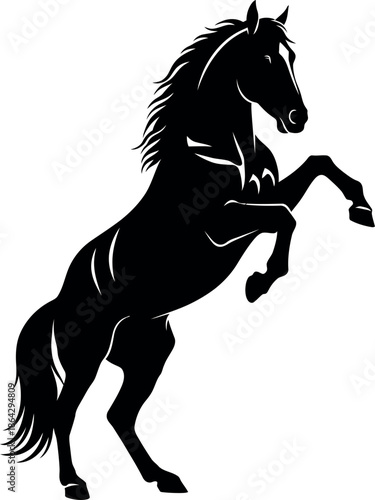 Vector illustration of a black horse rearing up on its hind legs animal