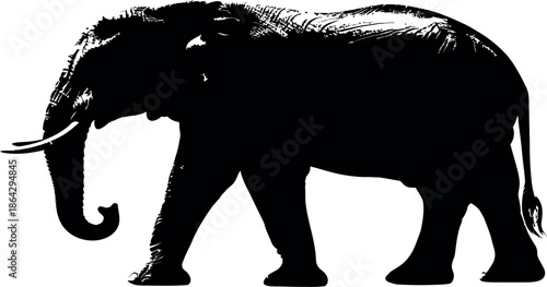 Vector illustration of a majestic elephant animal in black silhouette style