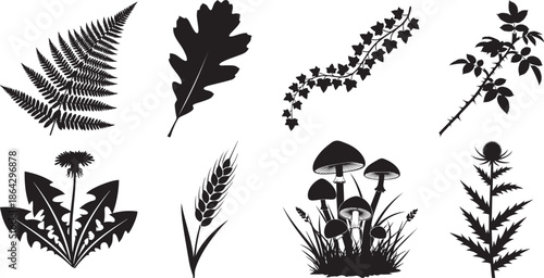 Plant leaf silhouettes collection including fern oak ivy wheat mushrooms and thistle botanical set