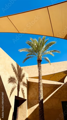Palm tree standing against a clear blue sky with its shadow cast on a tan building wall under a yellow fabric canopy