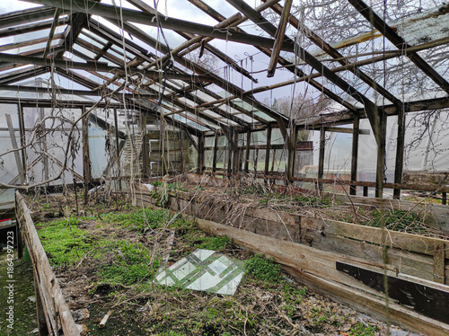 Abandoned greenhouse with plants