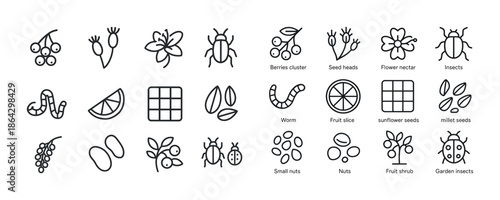 Collection of garden plant and insect icons in minimalist style