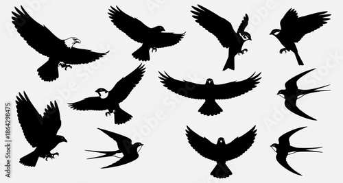 Collection of birds in flight silhouetted against a plain white background showcasing various wing positions and avian forms.