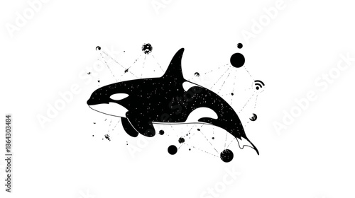 Elegant black and white orca illustration with abstract cosmic or network elements. Stylized killer whale graphic art.