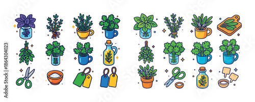 Colorful collection of potted herbs and gardening tools
