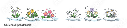 Spring flowers emerging from snow: snowdrops, tulips, daisies, crocuses blooming