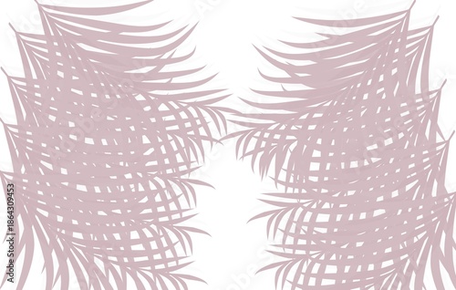 Blush Palm Leaf Silhouette Abstract Botanical Background