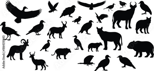 Collection of Wildlife Animal and Bird Silhouettes