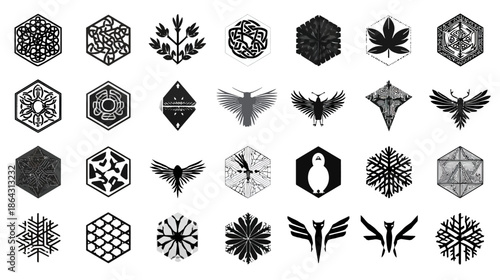 Diverse collection of abstract geometric and nature-inspired symbols, icons, and patterns in black and white vector style for modern design.