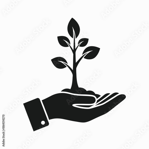 Hand holding a young plant