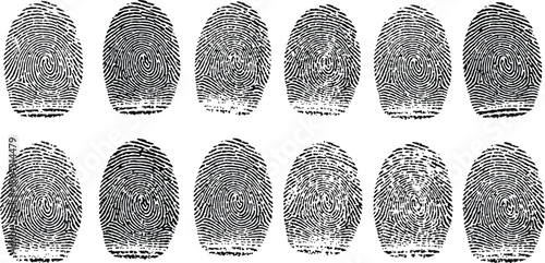 Twelve black and white fingerprint patterns arranged in two rows of six each arrangement