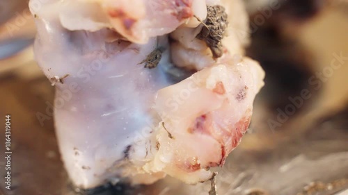 Grilled lamb chops with bones on metal tray in kitchen