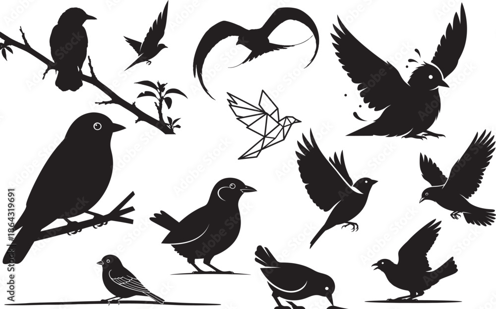 Fototapeta premium Silhouette of various birds isolated on transparent background bird silhouettes collection