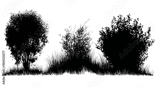 Set of three hand-drawn black bush and shrub silhouettes with grass elements on a white background, natural organic design