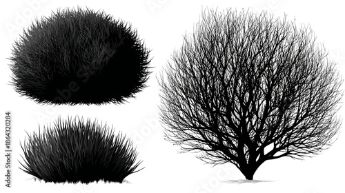 Bare tree and bushy shrub silhouettes. Vector set of winter or autumn plants, isolated natural design elements for landscape graphics.