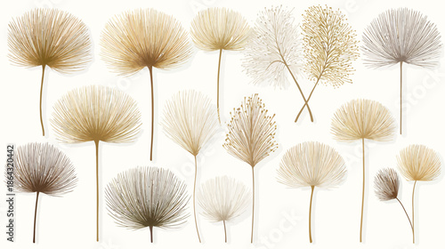 Elegant collection of dried feathery botanical elements in neutral beige and brown tones, isolated on white. Pampas grass style decor.