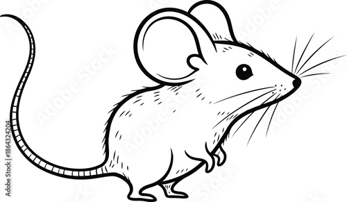 Curious mouse exploring