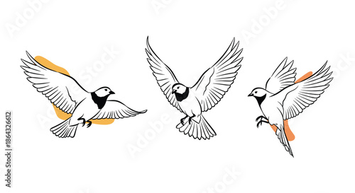 Artistic sketches of pigeons in flight with abstract orange highlights for a modern and creative bird themed illustration.