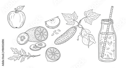 Line art illustration of healthy detox drink ingredients including apple cucumber lime and a bottle with a striped straw.
