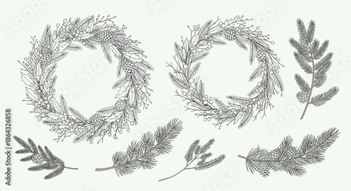Collection of hand drawn christmas wreaths and diverse pine branches in a delicate black and white botanical style.