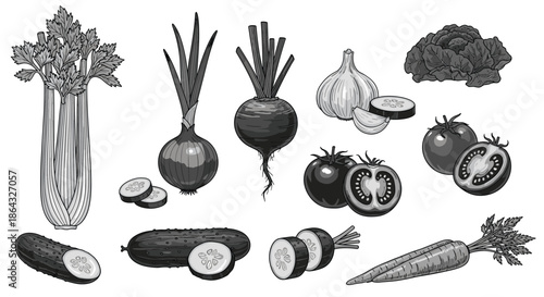 Large collection of garden vegetables including tomatoes and carrots with garlic and onion depicted in detailed black and white sketches.