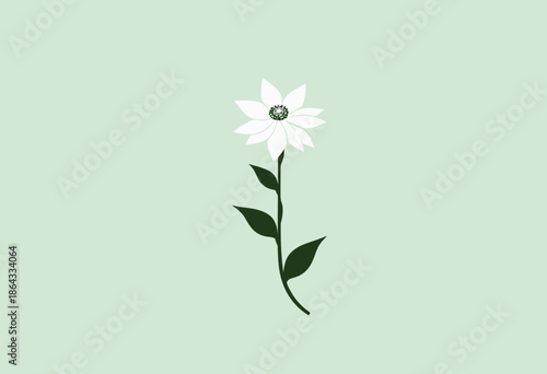 Elegant white flower with vibrant green leaves against a soft pastel background, showcasing simplicity and beauty in a minimalist botanical illustration style