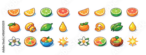 Colorful citrus fruits illustration with slices and leaves