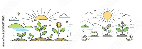 Growth stages of plants and sun in nature - colorful outline illustration