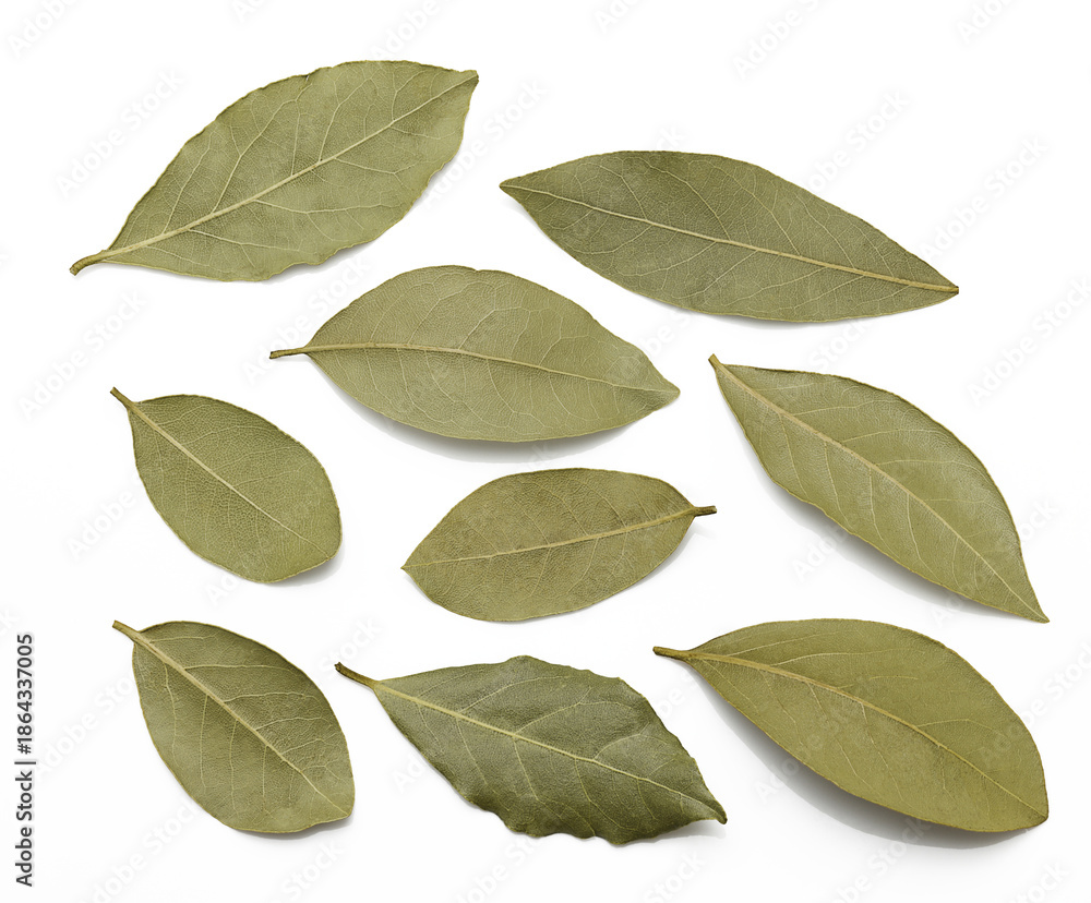 Fototapeta premium whole dry bay leaves isolated on white background