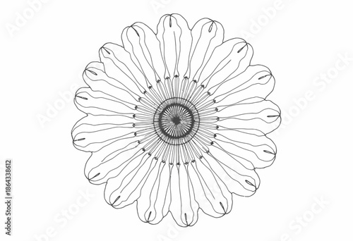 Intricate Black and White Mandala Featuring Petal-Like Arrangements and Symmetrical Patterns Forming a Circular Design with Delicate Linework Craftsmanship