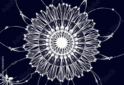 Intricate Mandala Design with Symmetrical Patterns and Delicate Linework on a Dark Background Highlighting Geometric Aesthetics and Artistic Expression