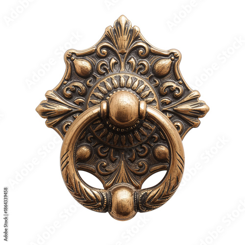 Ornate Door Knocker Design on Wooden Door in a Historical Building