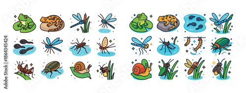 Colorful cartoon amphibian and insect life cycle with frogs dragonflies snails beetles