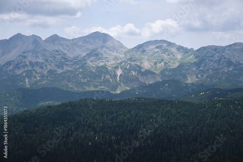 Amazing viewpoint of impressive mountain peaks in Triglav national park, from a lookout above pine tree forest
