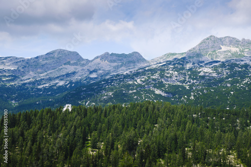 Amazing viewpoint of impressive mountain peaks in Triglav national park, from a lookout above pine tree forest