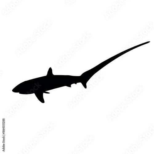 Thresher Shark 2 Vector Silhoutte Black Icon - Editable EPS