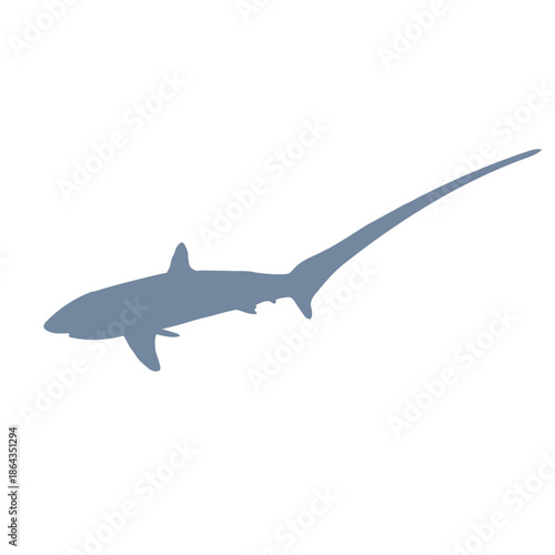 Photos Thresher Shark 2 Vector Silhoutte Color Icon - Editable EPS