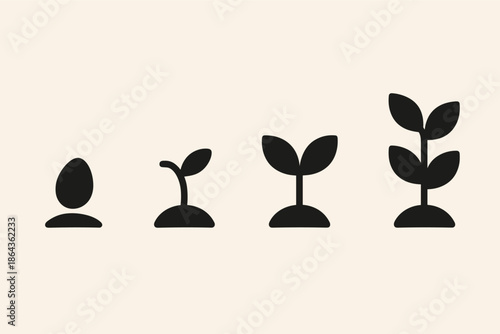 Plant growth stages: seed to mature plant