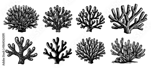 Coral reef sketch collection featuring various marine plants and sponges sea life vector illustration