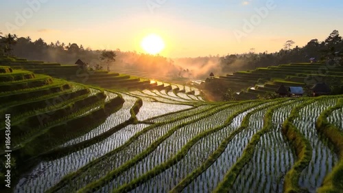Rice terraces at sunrise