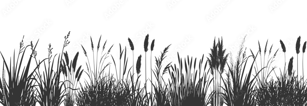 Φωτογραφία Silhouette of cattails and reeds