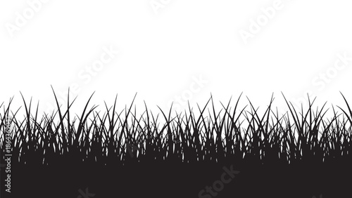 Silhouette of grass on transparent background for nature or scenery design