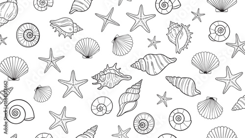 Collection of hand drawn sea creatures and seashells illustrations