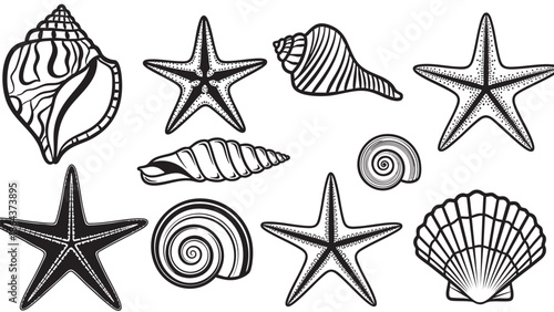 Collection of hand drawn sea creatures and shells isolated on transparent background