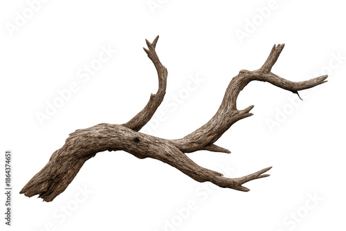 Dry gnarled tree branch with textured bark, isolated deadwood snag, natural twisted wood element with transparent background