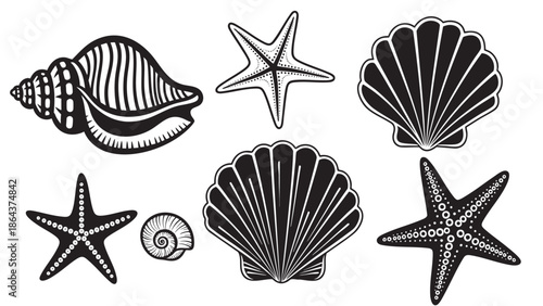 Collection of sea creature and shell vector illustrations isolated