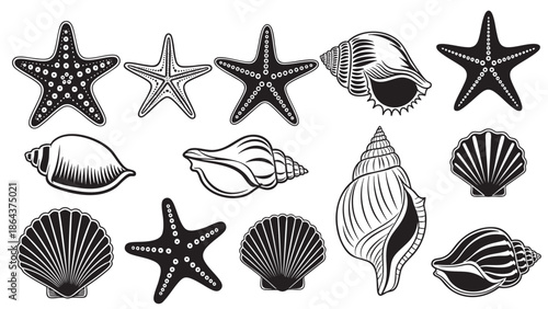 Collection of sea creatures and seashells vector illustrations isolated