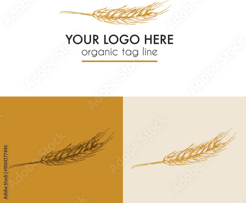 Vector logo design with vintage hand-drawn illustration barley wheat sprig, branding for brewery or farming 