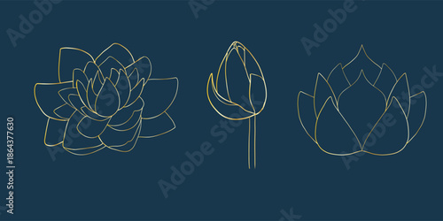 Golden line lotus set element isolated, blossom flower, graphic style, botany ethnic vector flat