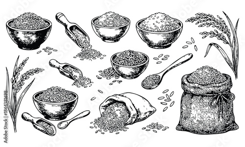 Wheat grains in various bowls and sack with rustic wooden spoons in vintage black and white illustration for agricultural design